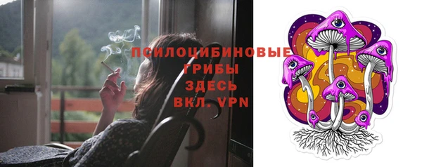 дурь Аркадак