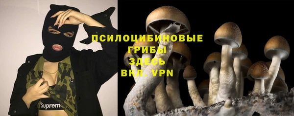 гидра Арсеньев