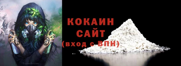 гидра Арсеньев