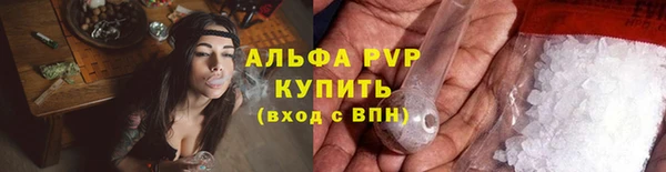 гидра Арсеньев