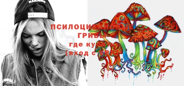 гидра Арсеньев