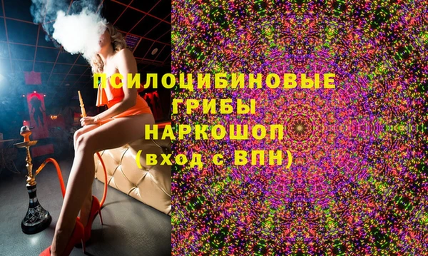 гидра Арсеньев