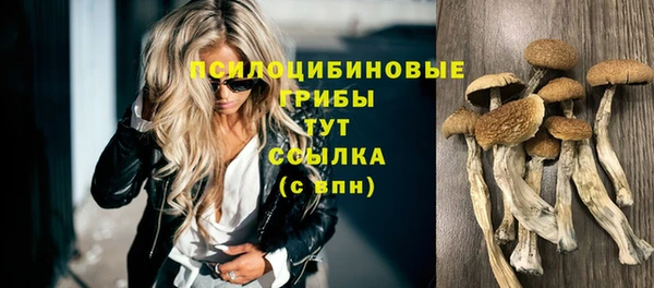гидра Арсеньев