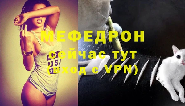 гидра Арсеньев