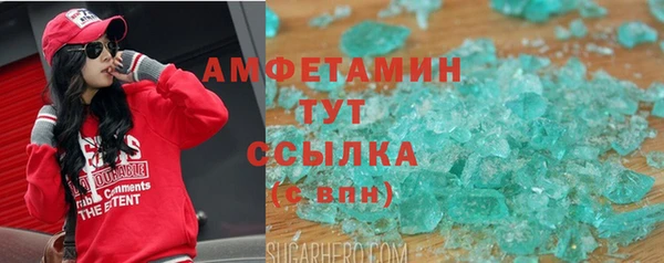 гидра Арсеньев
