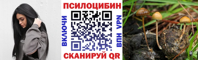 Псилоцибиновые грибы GOLDEN TEACHER  blacksprut   Багратионовск  продажа наркотиков 